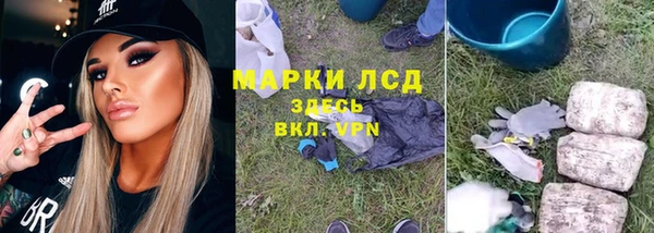 трава Алзамай