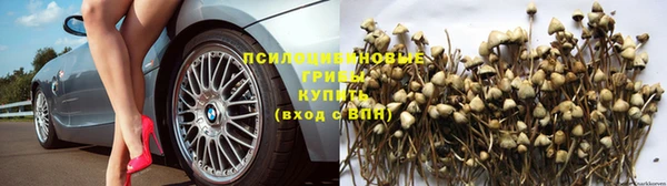 трава Алзамай