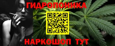 индика Анжеро-Судженск
