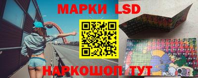 индика Анжеро-Судженск