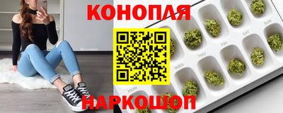 индика Анжеро-Судженск