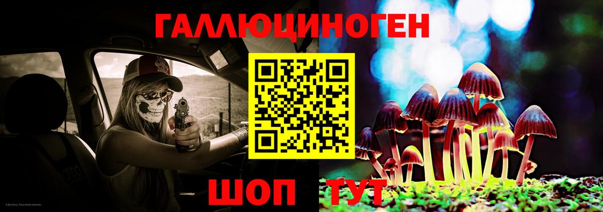 Саки  Галлюциногенные грибы GOLDEN TEACHER  Вход с VPN 